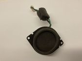 Panel speaker