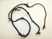 Wires (starter motor)