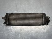 Intercooler air channel guide