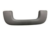 Front interior roof grab handle