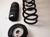Front coil spring