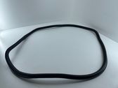 Rear door rubber seal (on body)