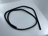 Trunk rubber seal (body)