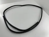 Front door rubber seal