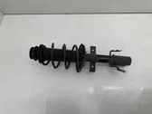 Front shock absorber/damper