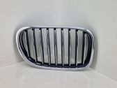 Front bumper upper radiator grill