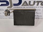 Heater blower radiator
