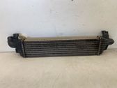 Intercooler radiator