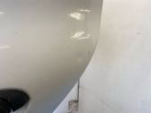Rear door