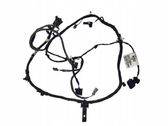 Other wiring loom