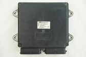 Engine control unit/module ECU