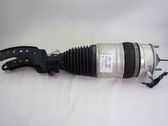 Air suspension front shock absorber