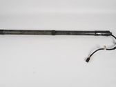 Tailgate/trunk strut/damper