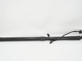 Tailgate strut