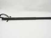 Tailgate/trunk strut/damper