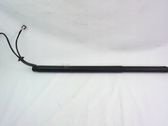 Tailgate strut