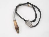 Sonde lambda