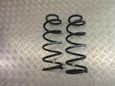 Rear coil spring