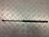 Front bonnet/hood damper/strut