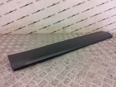 Front door trim (molding)