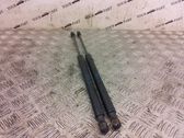 Tailgate/trunk strut/damper