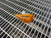 Front fender indicator light