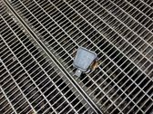 Regensensor