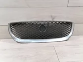 Front bumper upper radiator grill