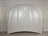 Engine bonnet/hood