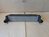 Intercooler radiator