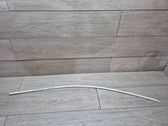 Moulure de porte avant