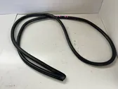 Rear door rubber seal (on body)