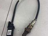 Sonde lambda