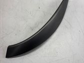 Other front door trim element