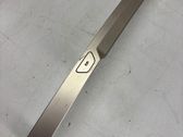Other rear door trim element