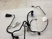 Front door wiring loom