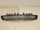Front bumper lower grill