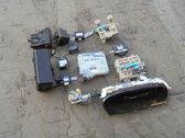 Engine control unit/module ECU