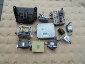 Engine control unit/module ECU