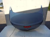 Tailgate/trunk/boot lid