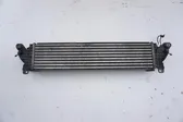 Radiatore intercooler