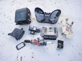 Engine control unit/module ECU