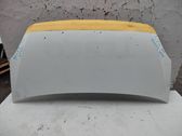 Engine bonnet/hood