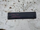 Rear door trim (molding)