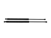 Tailgate/trunk strut/damper
