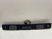 Trunk door license plate light bar