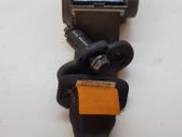 Middle seatbelt (rear)