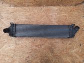 Intercooler radiator