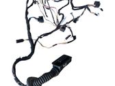 Front door wiring loom