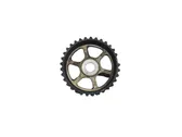 Fuel pump gear (pulley)